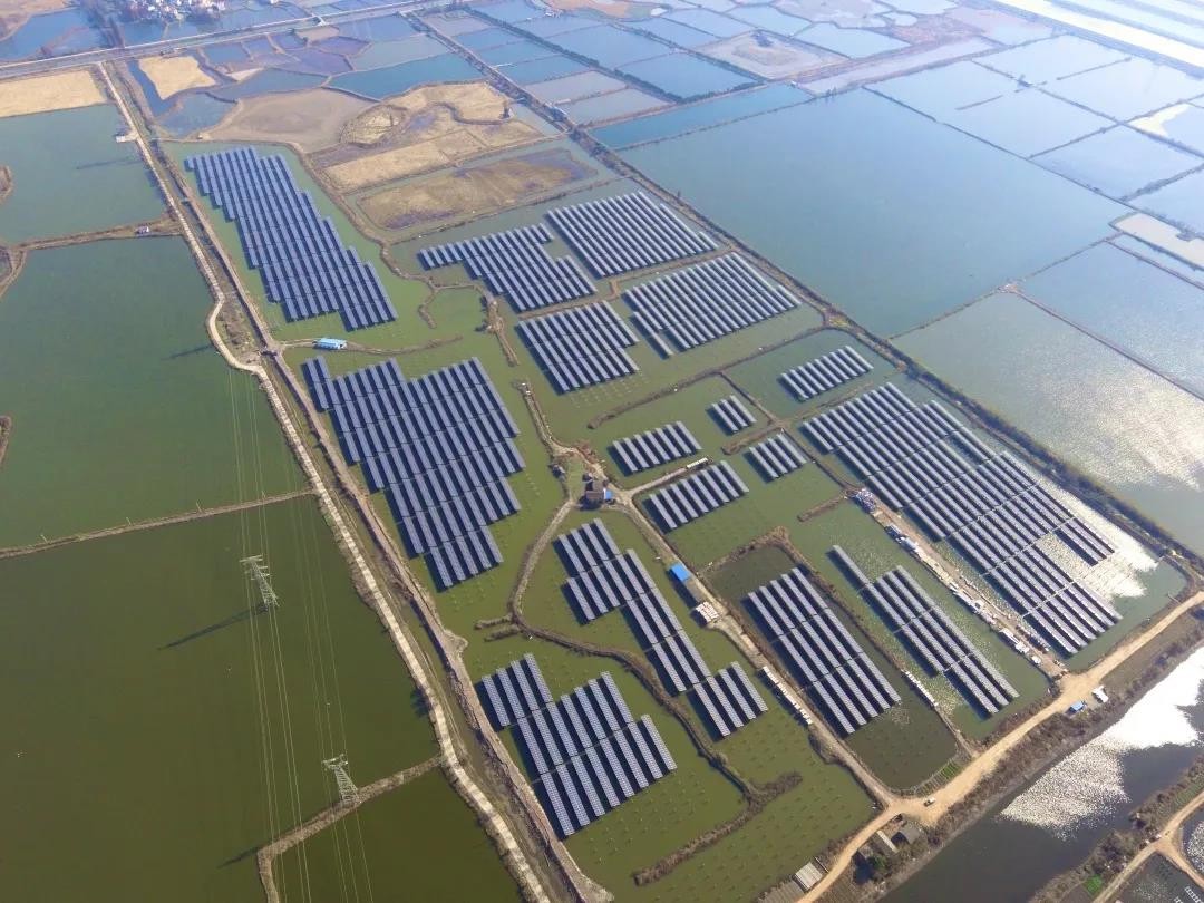A Fishery-solar Masterpiece in the Watery Town - www@pa.com's 110 MW PV Project in Tongling, Anhui Province Successfully Connected to the Grid for Power Generation